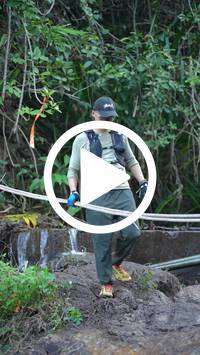 BIB:  <button type="button" onclick="openModal(27706708)" class="btn btn-primary btn-sm float-right" data-toggle="modal" data-target=".modal-high-quality">
                <i class="fa fa-download"></i> Download
                </button>